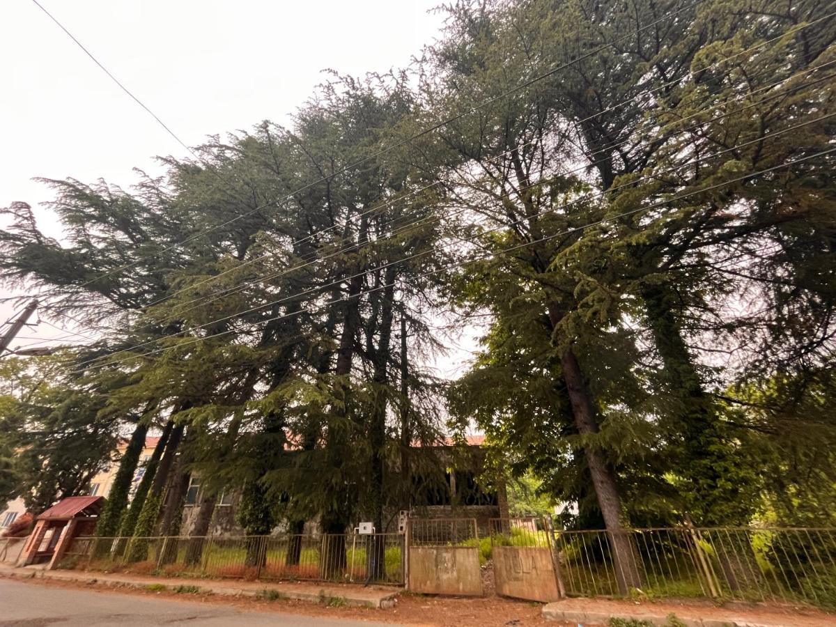 Dato'S Guesthouse Makhinjauri Luaran gambar